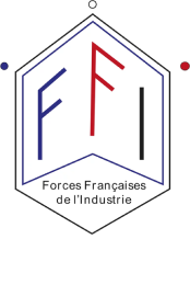 FFI By Skoleom logo